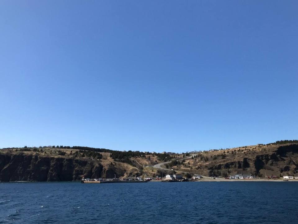 Three people have died diving off Newfoundland's Bell Island in recent weeks. (Katie Breen/CBC - image credit)