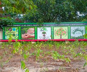 Native Trees planted for World Environment Day in Greater Noida