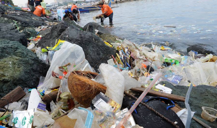 By the Year 2050, There Will Be More Plastic Garbage in the Ocean Than Fish