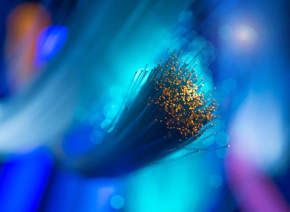 A bundle of fiber-optic network cables in dramatic blue lighting.