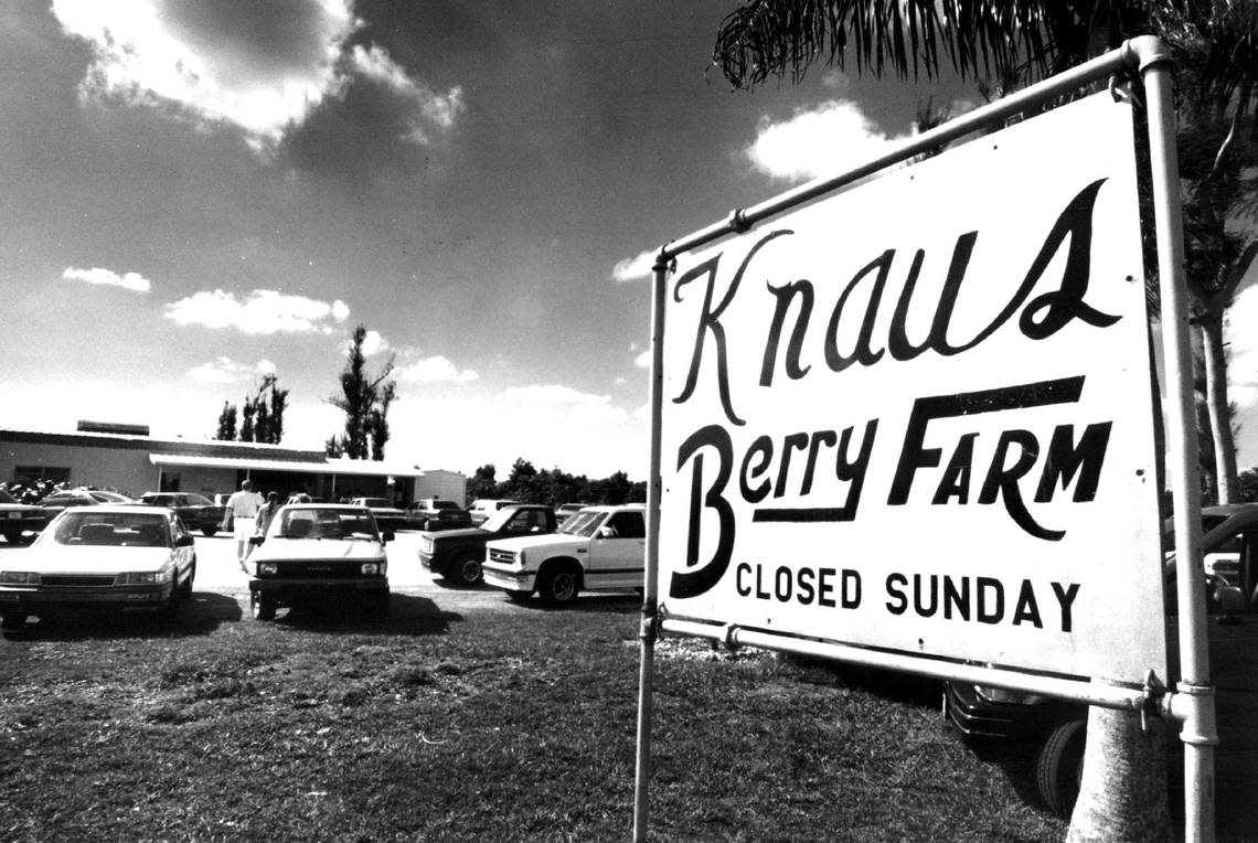 A 1993 file photo of Knaus Berry Farm in Homestead.