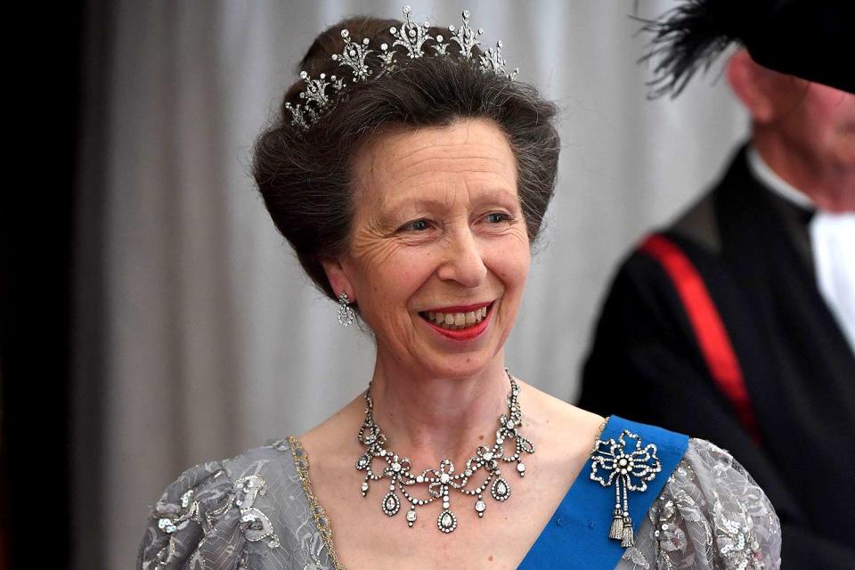 <p>CHRIS J RATCLIFFE/AFP via Getty Images</p> Princess Anne smiles at a banquet in London in 2017.