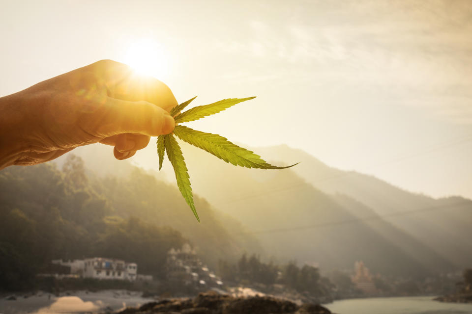 Leaf of cannabis in the hand in the setting sun on blurred background beautiful mountain landscape. Concept breeding of marijuana, cannabis, legalization.
