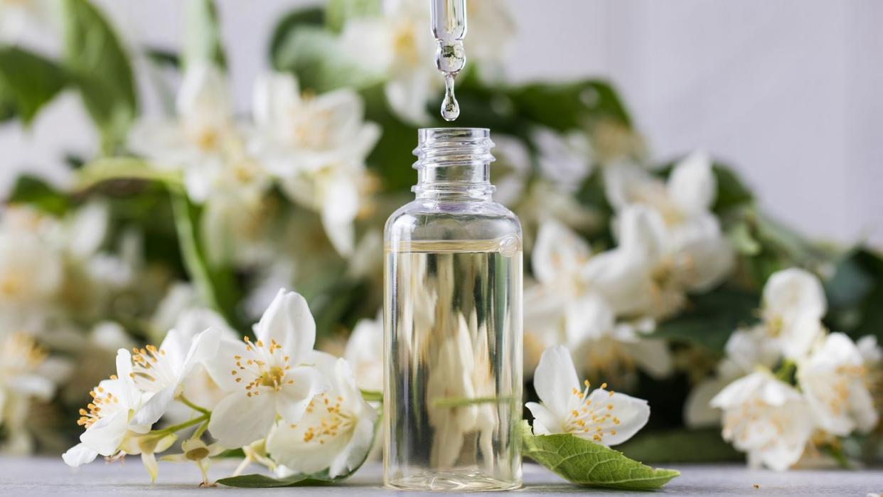 jasmine essential oil in a glass dropper on a background of jasmine flowers high quality photo