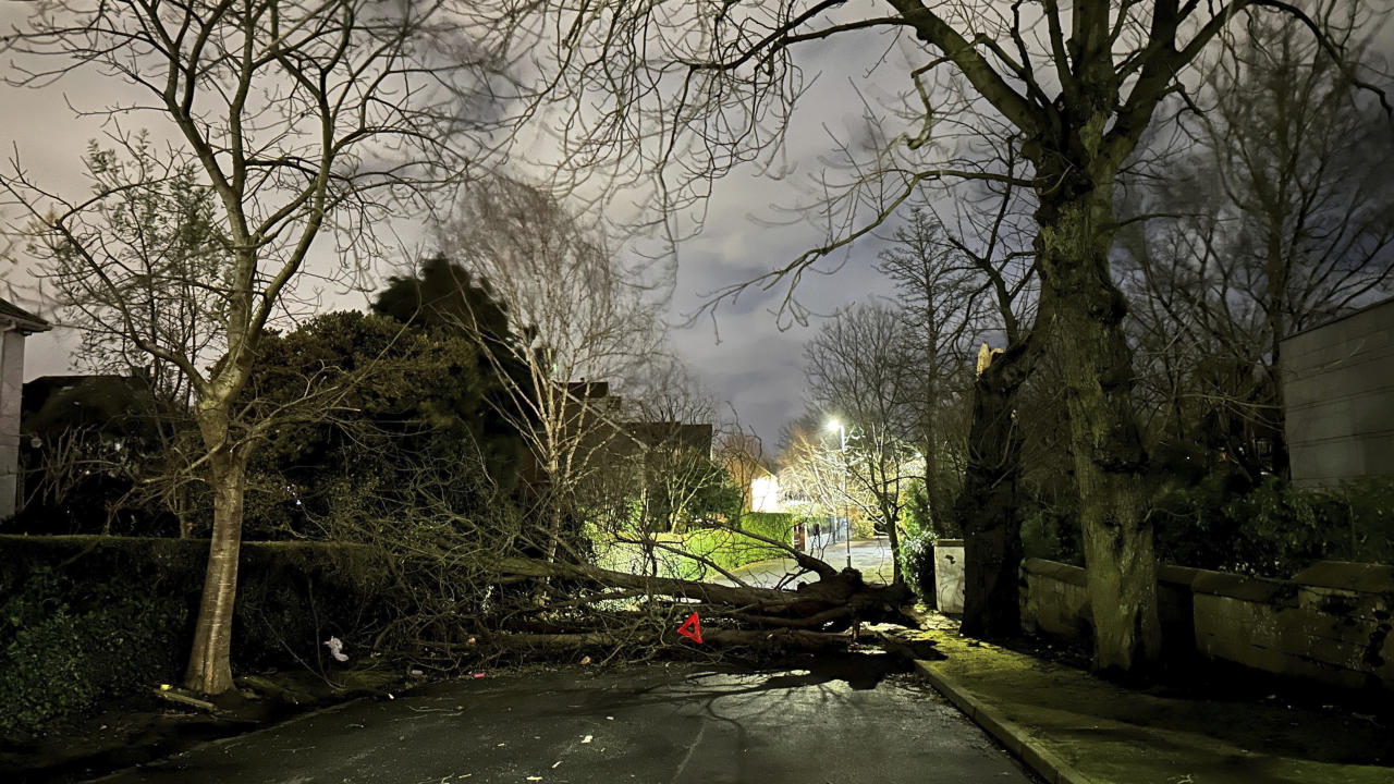 A tree branch fallen on Notting Hill road in south Belfast, Northern Ireland, during Storm Isha, in Sunday, Jan. 21, 2024. A Status Red wind warning has been issued for counties Donegal, Galway and Mayo as authorities warn people to take care ahead of Storm Isha's arrival. (Liam McBurney/PA via AP)