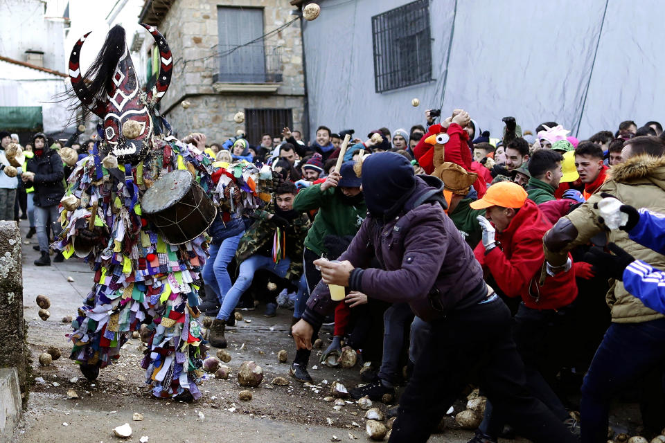 In this photo taken on Sunday, Jan. 19, 2020, People throw turnips at the Jarramplas as he makes his way through the streets beating his drum during the Jarramplas festival in the tiny southwestern Spanish town of Piornal, Spain. The Jarramplas festival features a man in multicolored garb and pointy wooden headgear to shield himself from turnips. A crowd of men in the street pelt the man with the vegetables from close range at the fiesta held annually at Piornal, 200 kilometers west of Madrid, over two days. (AP Photo/Manu Fernandez)