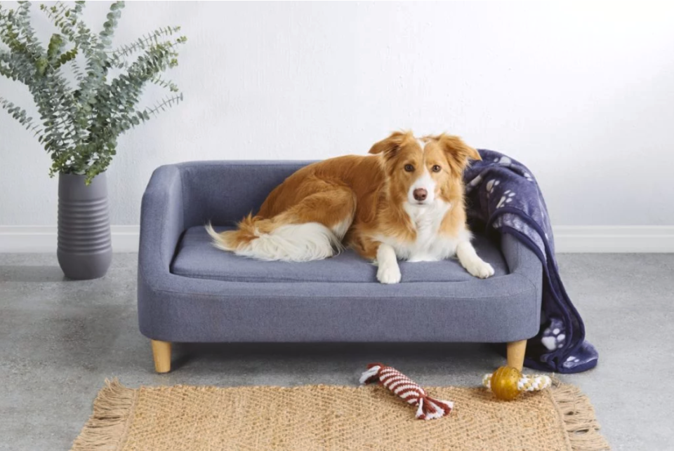 Aldi large dog bed special buy