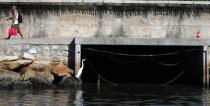 A bird sits next to a sewage canal at the Guanabara Bay in Rio de Janeiro March 12, 2014. REUTERS/Sergio Moraes