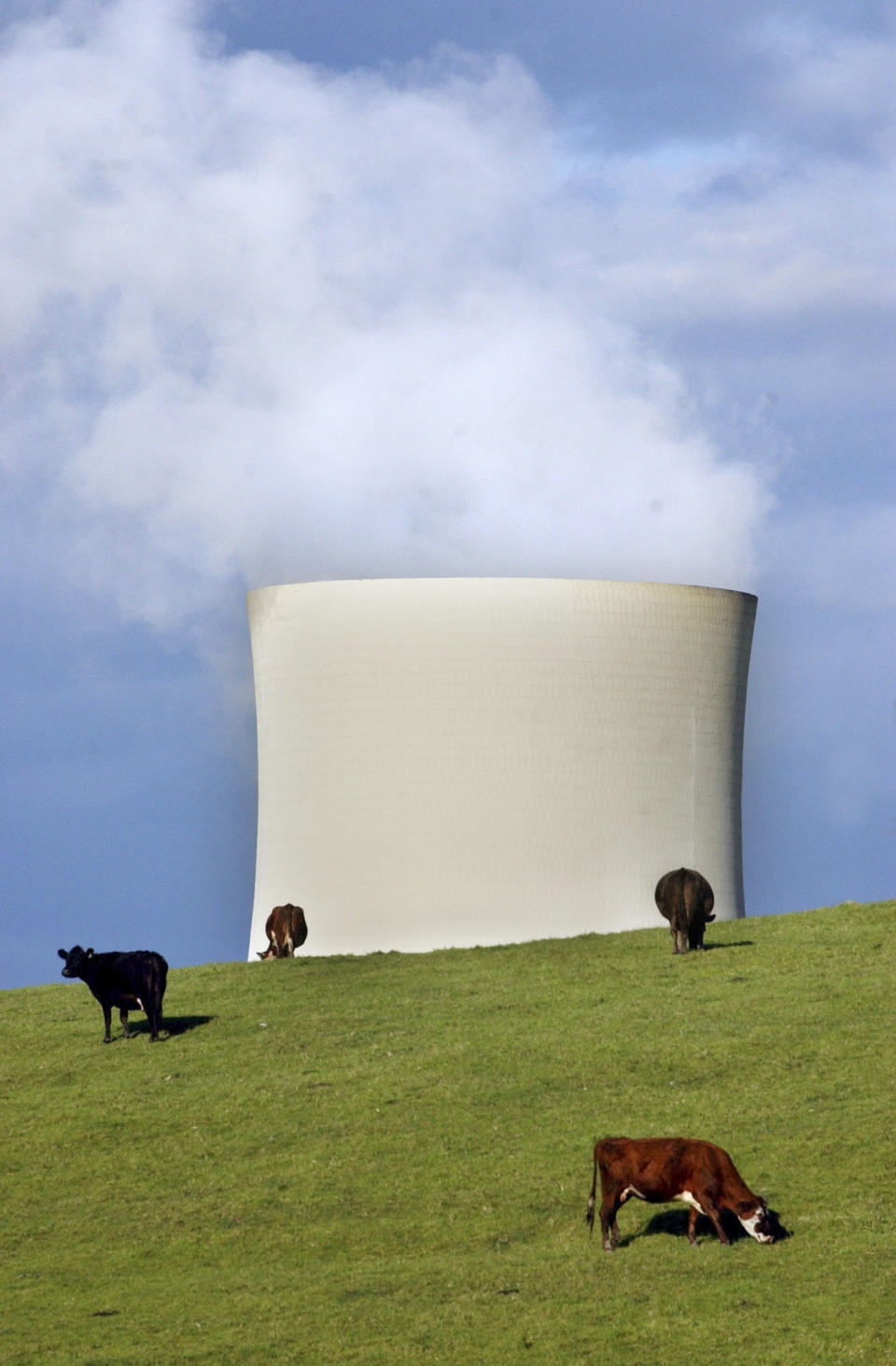 Cattle graze in front of the cooling towers of the Yallourn North power plant in Western Gippsland, Victoria, on Oct. 10, 2002. Australia on Thursday, Oct. 28, 2021 ruled out promising to cut methane emissions by 30% by the end of the decade in a stance that will add to criticisms that the country is a laggard in addressing climate change. (Julian Smith/AAP Image via AP)