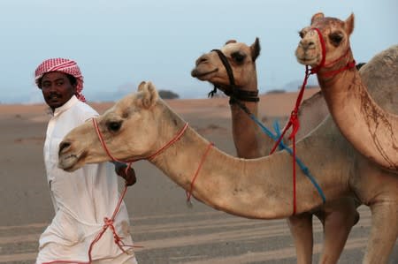 A camel herder walks near Adhen Village