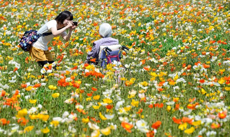 A woman takes a photo of an elderly woman at Showa Memorial Park in Tokyo on May 6, 2013. Around a quarter of Japan's 128 million population is 65 or over and the country has a far-below replacement level birthrate of an average 1.39 children for every woman