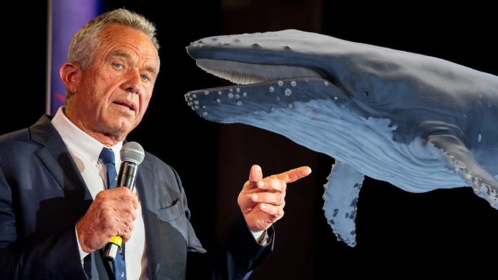 RFK Jr. and the Whale Environmental Group Calls for Federal