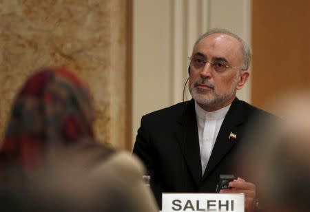 FILE PHOTO: Iran's head of the country's Atomic Energy Organization, Ali Akbar Salehi attends a seminar at the Japan Institute of International Affairs in Tokyo, Japan, November 5, 2015. REUTERS/Yuya Shino/File Photo