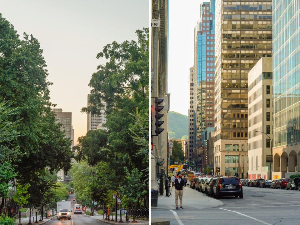 Side-by-side photos of greenery in urban spaces in Montreal