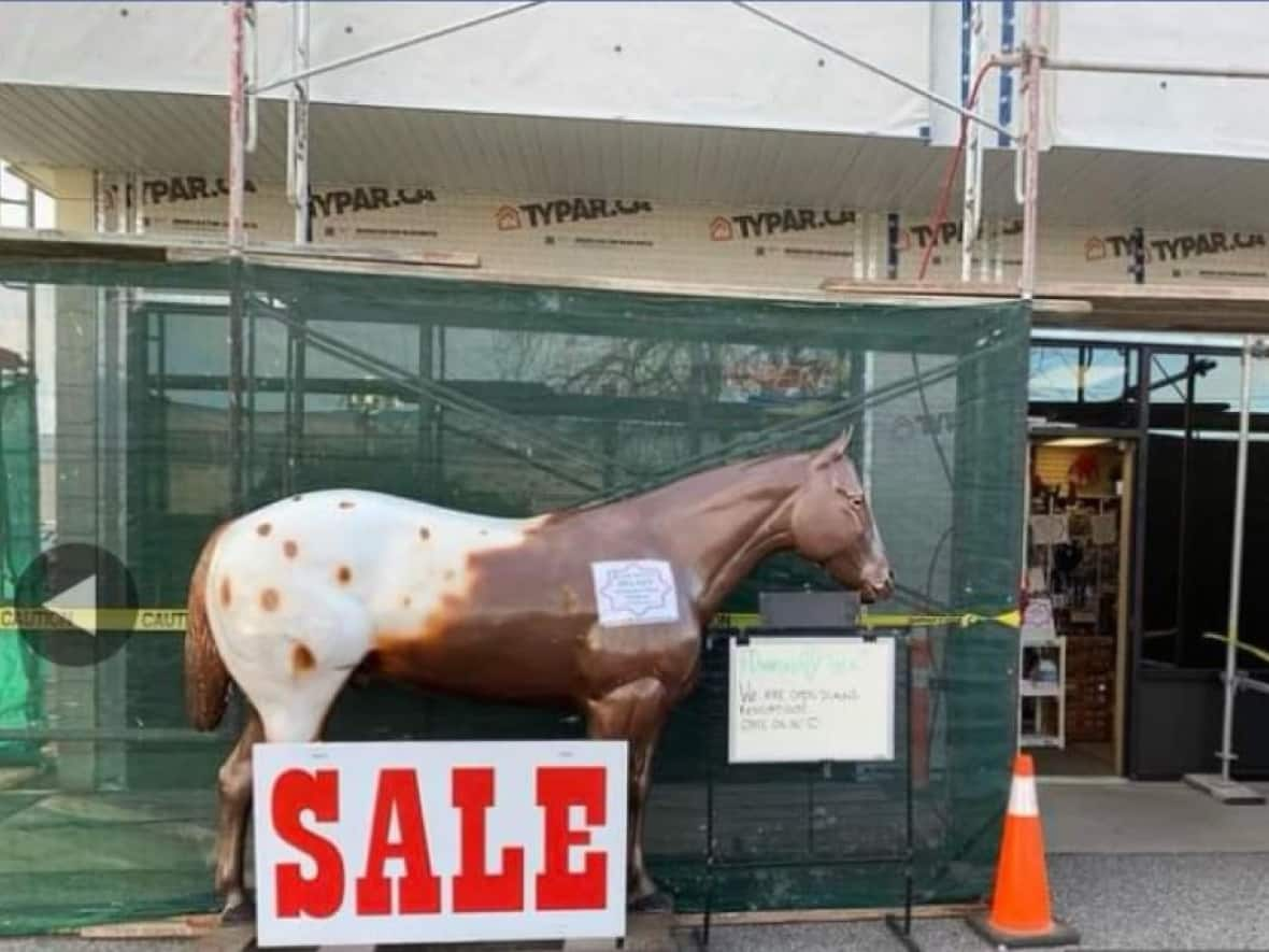 Harry, a life-size fibreglass horse has stood guard in front of Kelowna's Diamond H Tack store for nearly 30 years. He was loaded and driven away in a U-Haul Monday afternoon. (Diamond H Tack Inc./Facebook - image credit)