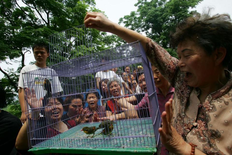 Buddhists prepare to free birds during a ceremony to mark the Buddha’s birthday in 2006 in Chongqing municipality, China. <a href="https://www.gettyimages.com/detail/news-photo/buddhists-prepare-to-free-birds-during-a-ceremony-to-mark-news-photo/57538866?adppopup=true" rel="nofollow noopener" target="_blank" data-ylk="slk:China Photos/Stringer via Getty Images News;elm:context_link;itc:0;sec:content-canvas" class="link ">China Photos/Stringer via Getty Images News</a>