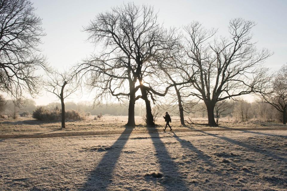 Heavy frost in Wanstead Park in north-east London (PA Archive/PA Images)