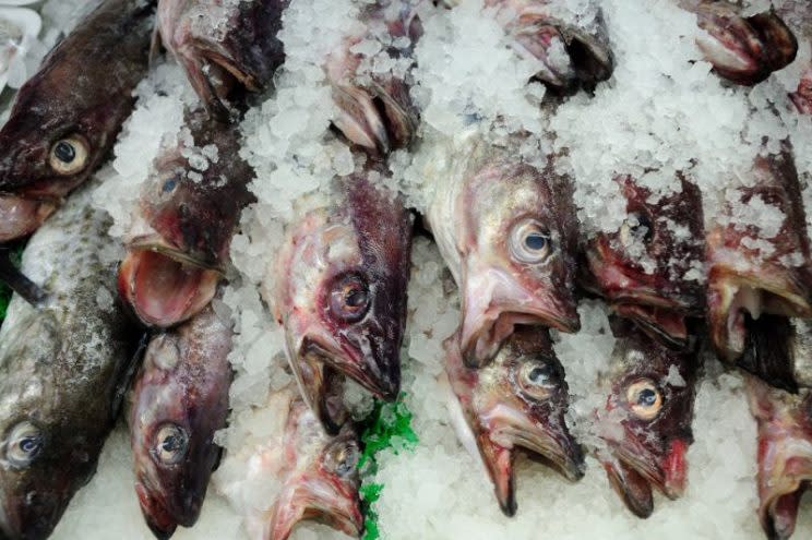 Les bienfaits du poisson gras semblent être infinis. [Photo : Pexels]