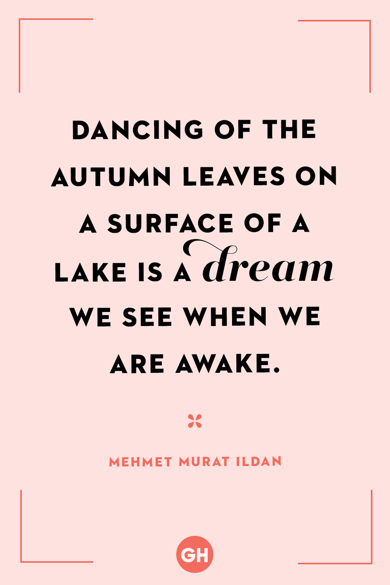 <p>Dancing of the autumn leaves on a surface of a lake is a dream we see when we are awake.</p>