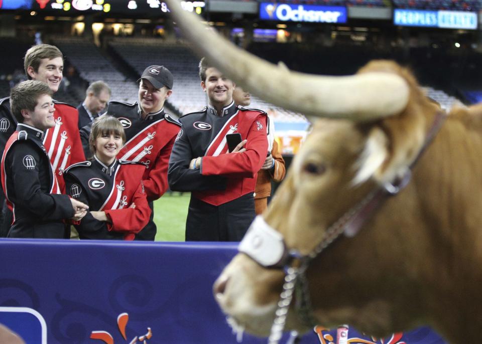 Georgia band members venture close for a look at Bevo before the Sugar Bowl in New Orleans after the 2019 season. Georgia will be among the first current SEC teams to face UT in conference play when the Bulldogs visit Austin in 2024.