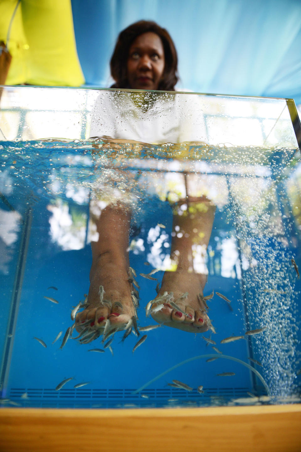 Fish Pedicures