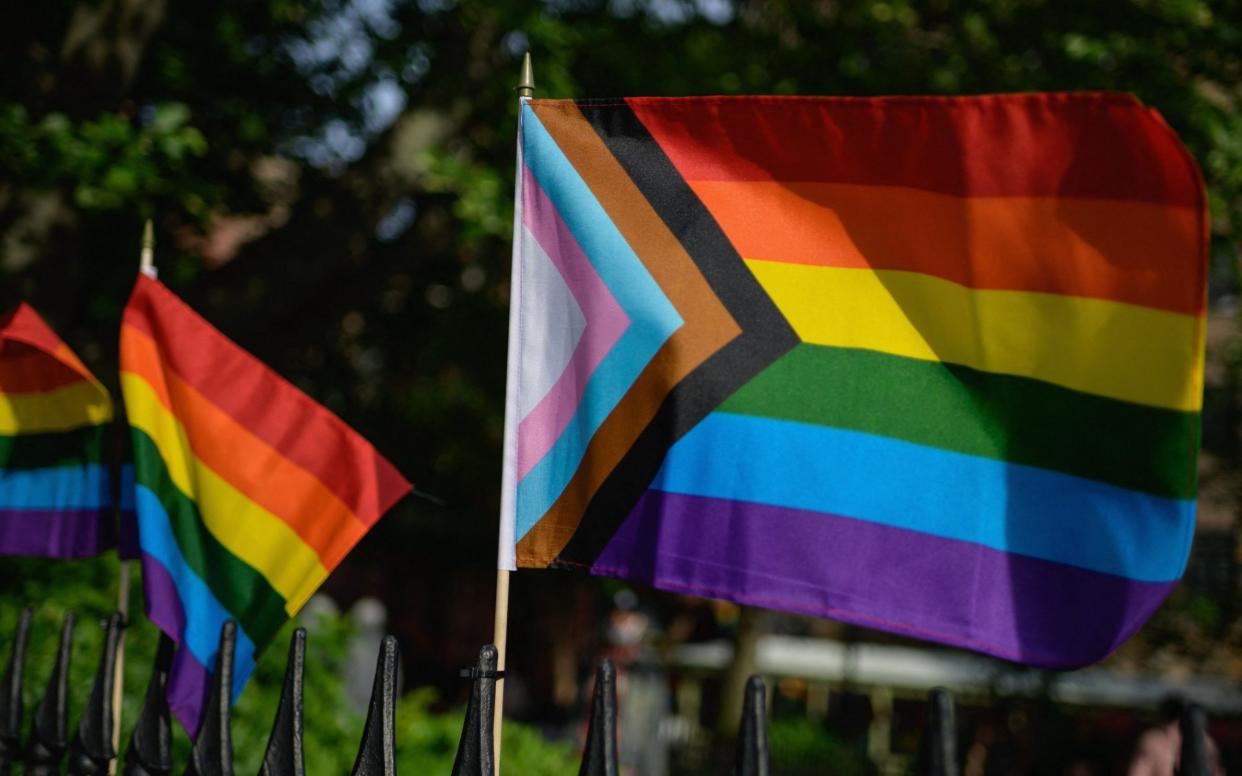 Gay pride flags - Angela Weiss/AFP