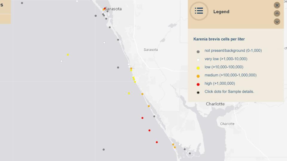 A screenshot of a map produced by the Florida Fish and Wildlife Conservation Commission shows the presence of high levels of red tide in Sarasota Bay this week.