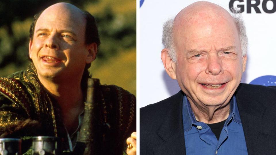 Wallace Shawn as Vizzini in the Princess Bride Cast