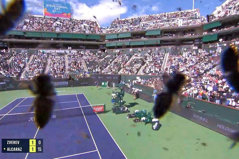 En todos lados: así invadieron las abejas el court central de Indian Wells