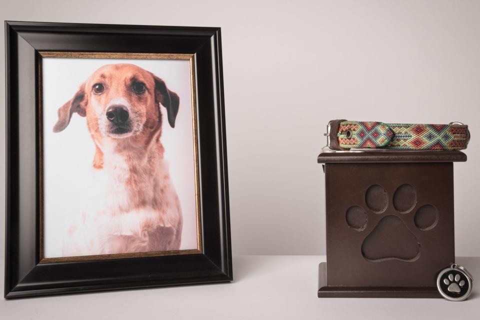 <p>Getty</p> A stock image of a dog memorial