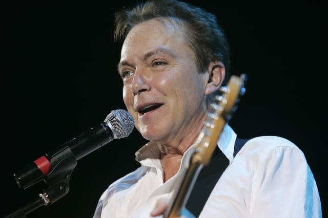 David Cassidy Concert - London