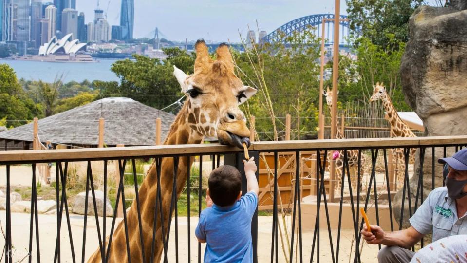 Taronga Zoo Entry Ticket. (Photo: Klook SG)