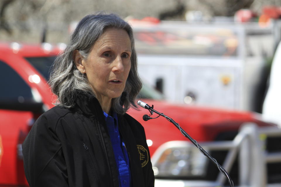 New Mexico State Forester Laura McCarthy talks about the potential for megafires and the scope of what firefighters and land managers are facing during a news conference at the Rio Grande Nature Center State Park in Albuquerque, N.M., Wednesday, March 29, 2023. She said with drier, warmer temperatures, it only takes a simple mistake for a wildfire to be sparked. (AP Photo/Susan Montoya Bryan)