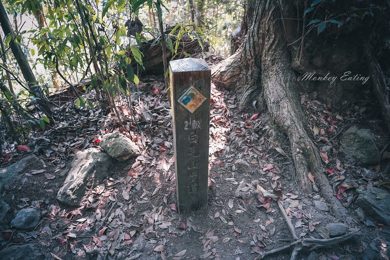 台中｜谷關七雄 白毛山步道