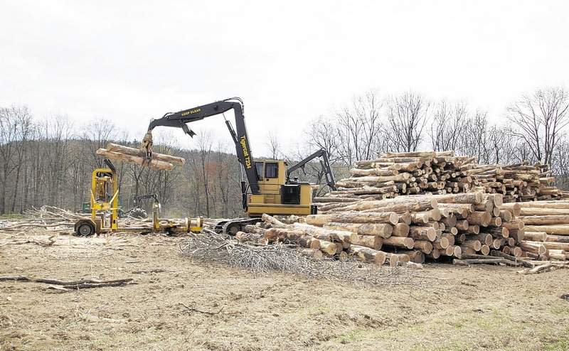 Heavy machinery from Mountain View Logging stacks logs cuts down on property on Bull Mill Road owned by Sherman Associates on Monday, April 9, 2012.