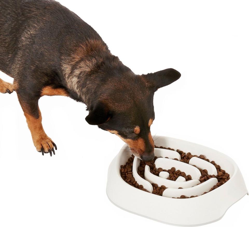 Frisco Non-Skid Slow Feeder Dog Bowl