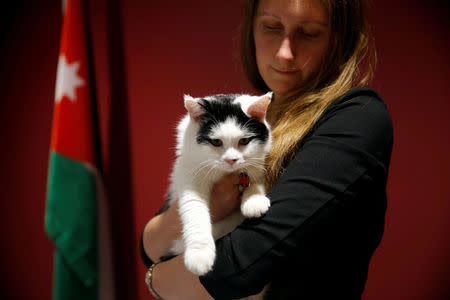 Laura Dauban, deputy ambassador of the United Kingdom to Jordan poses with Lawrence of Abdoun, the first diplo-cat to be appointed by the British Embassy in Jordan, at the embassy headquarters in Amman, Jordan, November 15, 2017. REUTERS/Muhammad Hamed