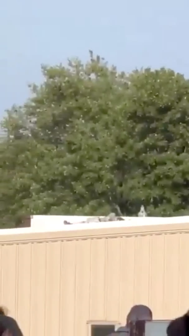 BUTLER, PENNSYLVANIA, UNITED STATES - JULY 13: A screen grab captured from a video allegedly shows the suspected gunman killed by USSS counter assault team, on July 13, 2024 in Butler, Pennsylvania, United States. An attendee was also killed. Former US President Donald Trump “is fine” after he appeared injured Saturday following gunshots that were reported at a rally in the US state of Pennsylvania. An attendee was also killed. Former US President Donald Trump 