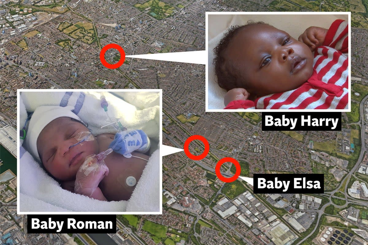 Siblings Baby Elsa, Baby Harry and Roman were all discovered in similar circumstances in the Newham area over a seven-year period  (Met Police/PA)