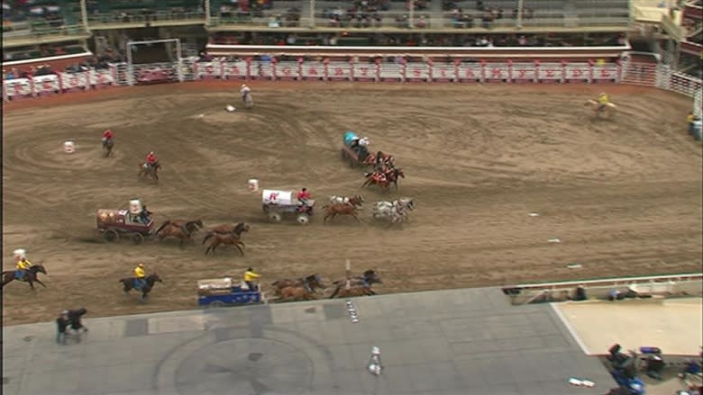 Calgary Stampede: Chuckwagon horse death hard loss for driver