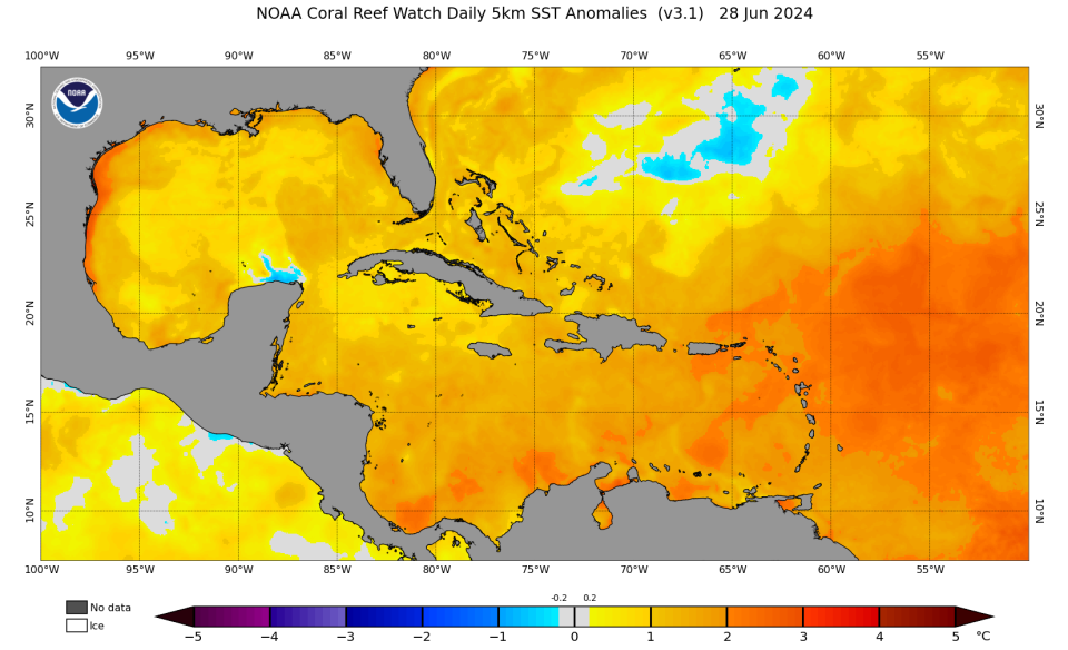 The warmer than normal ocean temperatures in the Atlantic and Caribbean can be seen in this chart of sea surface temperature anomalies from NOAA's Coral Reef Watch.