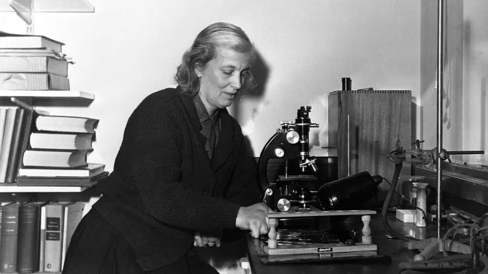 Dorothy Crowfoot Hodgkin