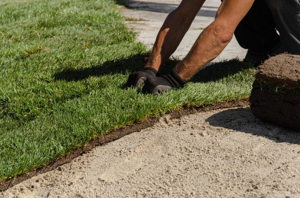 A close up of a worker's hands laying down sod. 