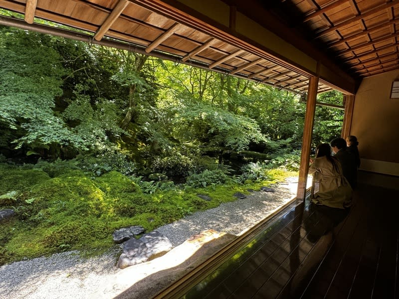 京都瑠璃光院庭園優美 有遠離塵囂感 位於日本京都八瀨地區的瑠璃光院面積一萬多坪，有 山露路之庭、瑠璃之庭、臥龍之庭等庭園，各有千 秋。2005年起此地成為岐阜市「淨土真宗無量壽山光明 寺」分院。 中央社記者楊明珠京都攝 113年5月26日 