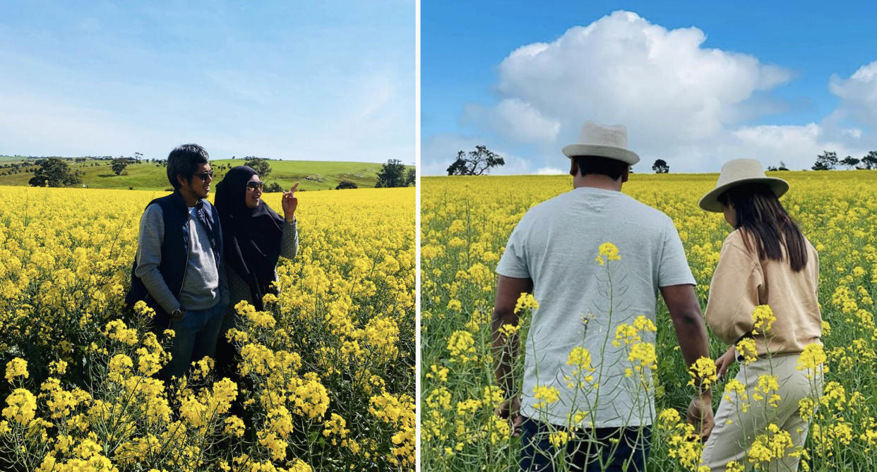 Two couples in a canola field