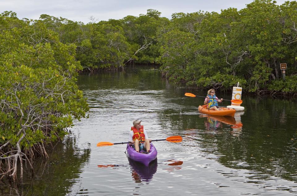 In this Nov. 27, 2010 photo released by the Florida Keys News Bureau, kayakers paddle along mangroves at John Pennekamp Coral Reef State Park in Key Largo, Fla. The nation's first underwater preserve encompasses 70 square miles of coral reefs, seagrass beds and mangrove forests. (AP Photo/Florida Keys News Bureau, Bob Care) NO SALES