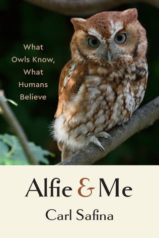 <p>W. W. Norton & Company</p> 'Alfie & Me' by Carl Safina