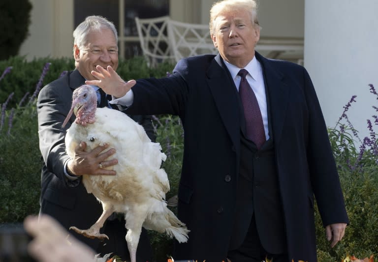 With US markets closed for Thanksgiving, investors can concentrate on turkeys at their leisure