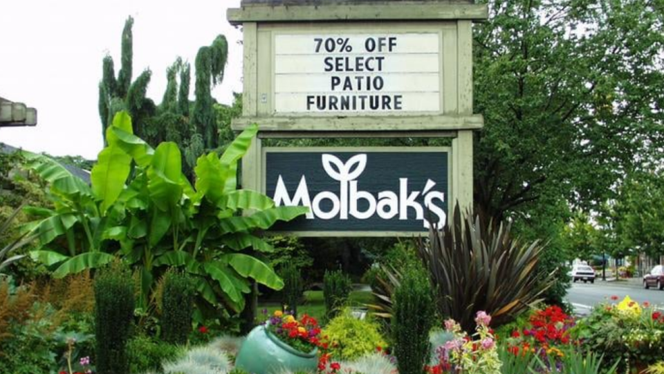 <div>Molbak's Garden + Home closed in Jan. 2024, after nearly 70 years in business in Woodinville, Wash.</div> <strong>(Sara W. via Yelp)</strong>