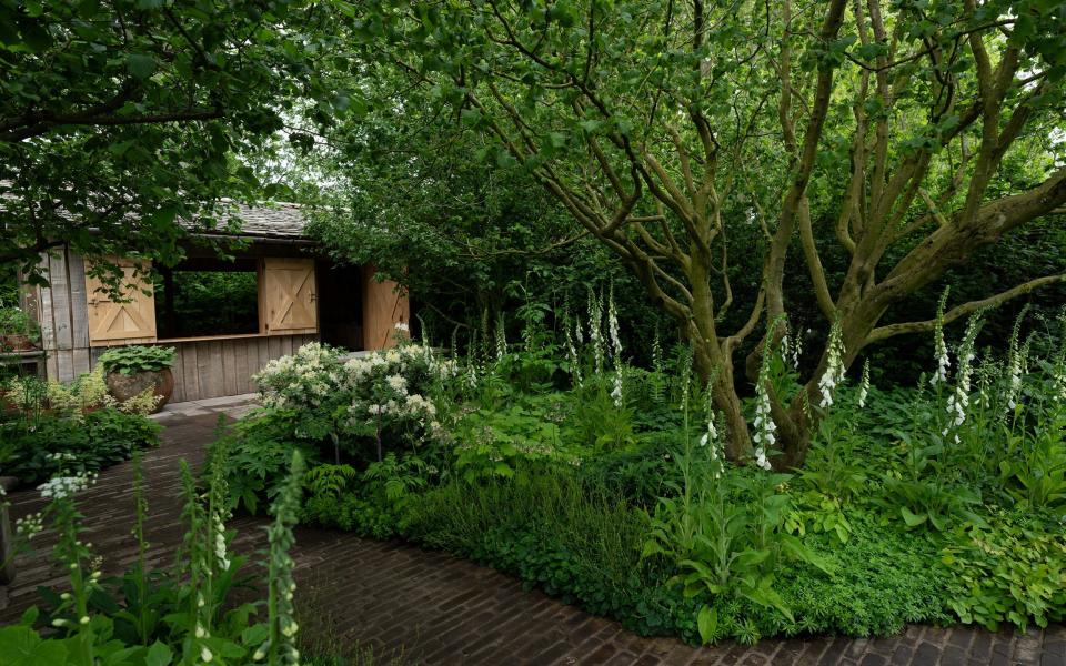 Chelsea Flower Show: best show garden and medal winners